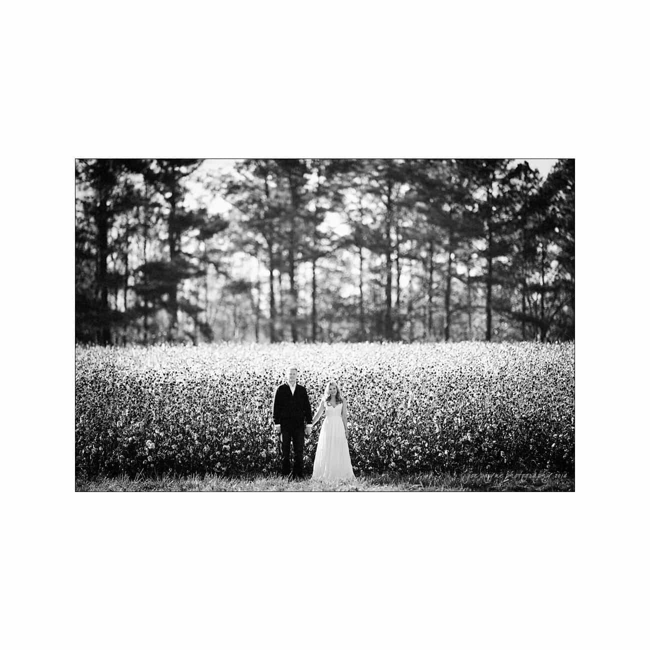 raleigh engagement photography - kelly & cameron