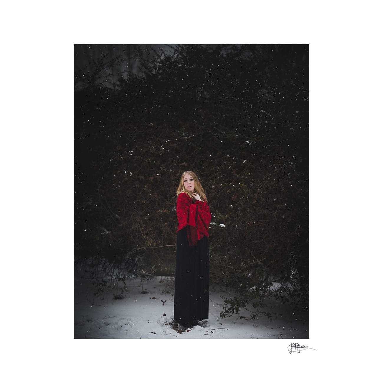 raleigh portrait photographer full length in snow and bushes