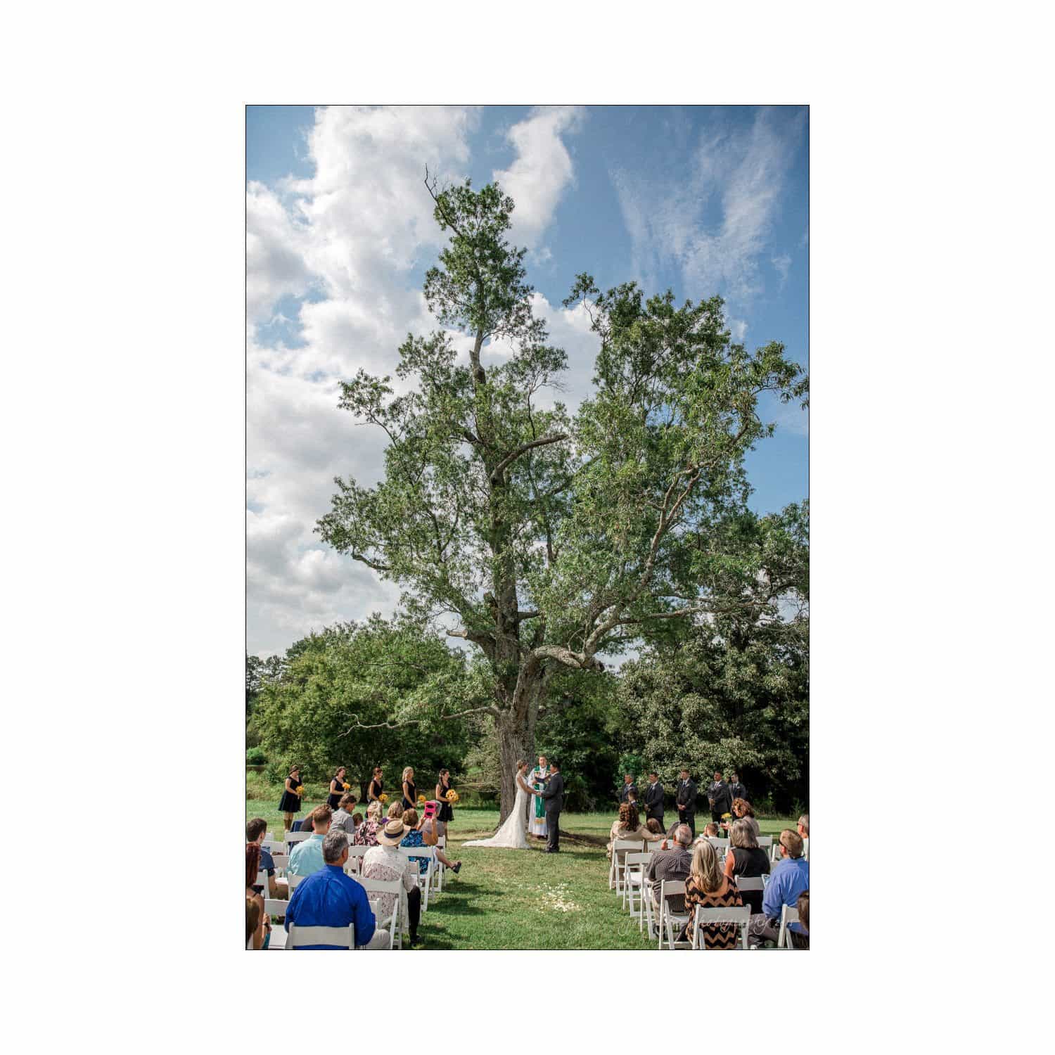 Chapel Hill Wedding Photographer - Nicole & Wayne-51