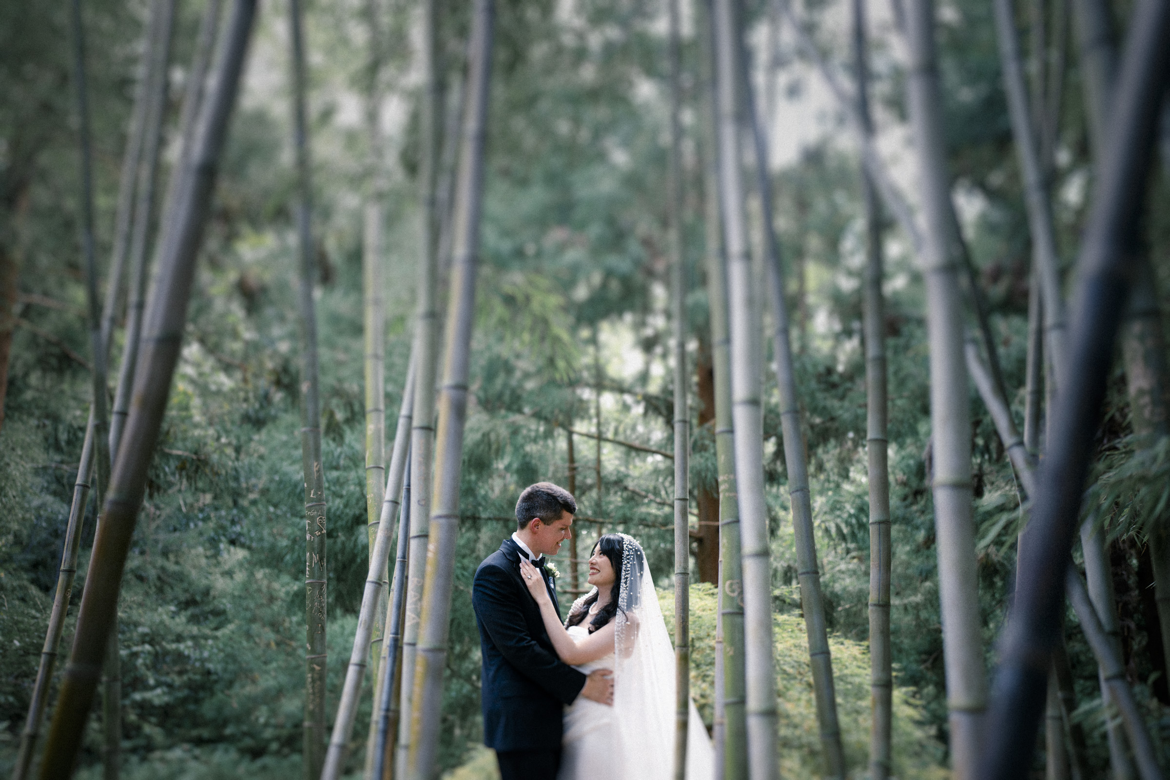 A bride and groom stand intimately among tall bamboo trees. The bride wears a white dress and veil, while the groom is in a black suit. The lush greenery surrounds them, creating a peaceful and romantic setting.