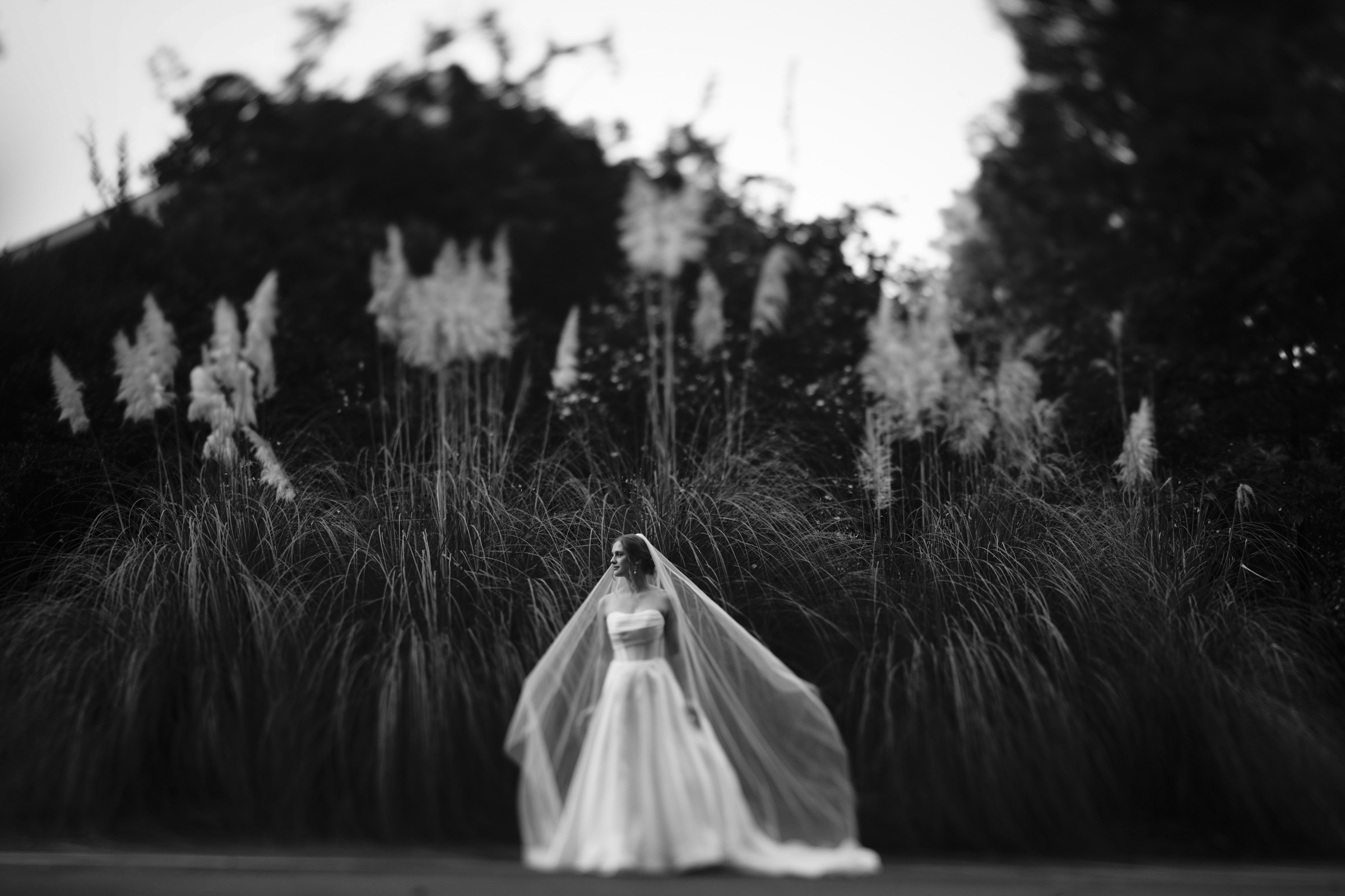 A bride in a long, flowing dress and veil stands in front of tall grass and foliage. The image is in black and white, with a soft, ethereal quality.