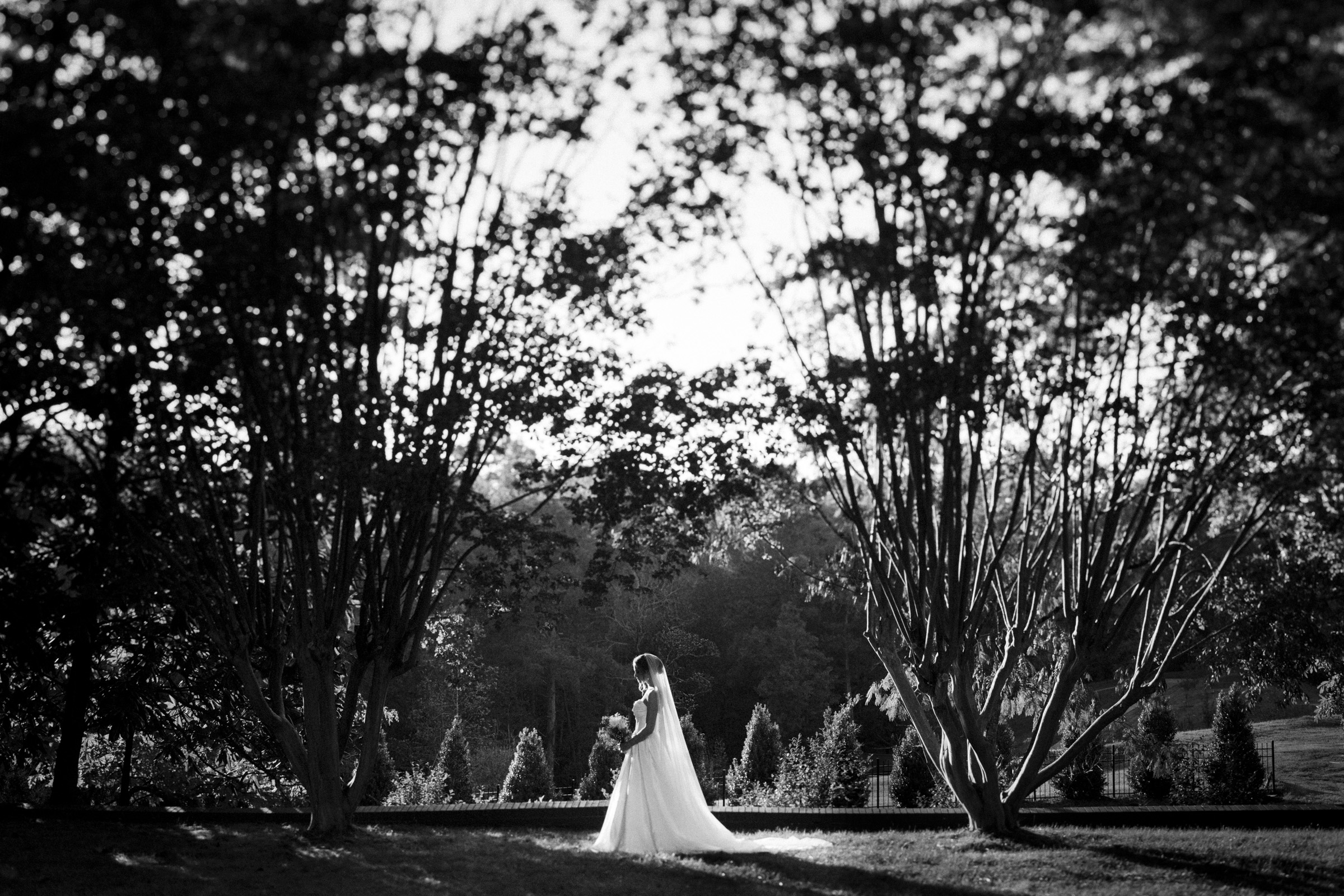 A bride stands in a serene garden setting between large trees, wearing a long white gown and veil, holding a bouquet. The scene is captured in black and white, with sunlight filtering through the leaves, creating a peaceful, timeless ambiance.