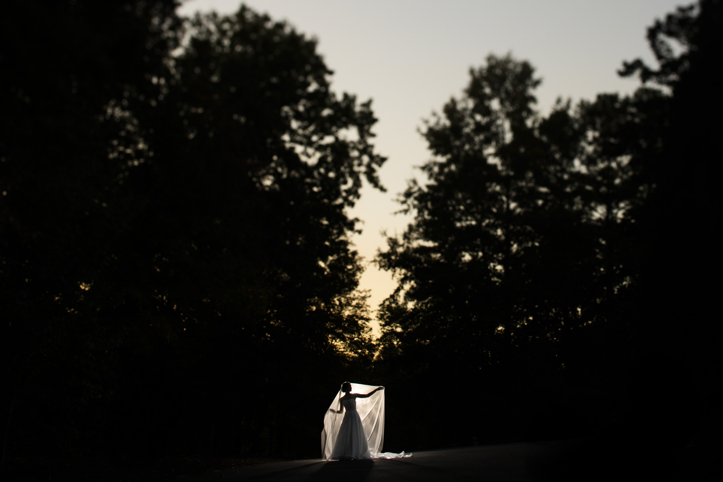 Silhouetted figure of a bride in a flowing white dress holding her veil, set against the backdrop of tall trees and a twilight sky.